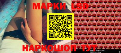 кокс Донской