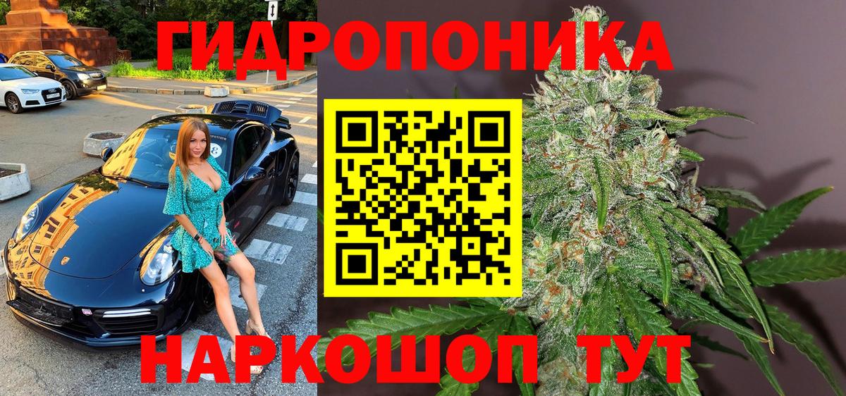 Дагестанские Огни  Бошки марихуана семена  Марихуана конопля  МАРИХУАНА тримм  Вход с VPN 